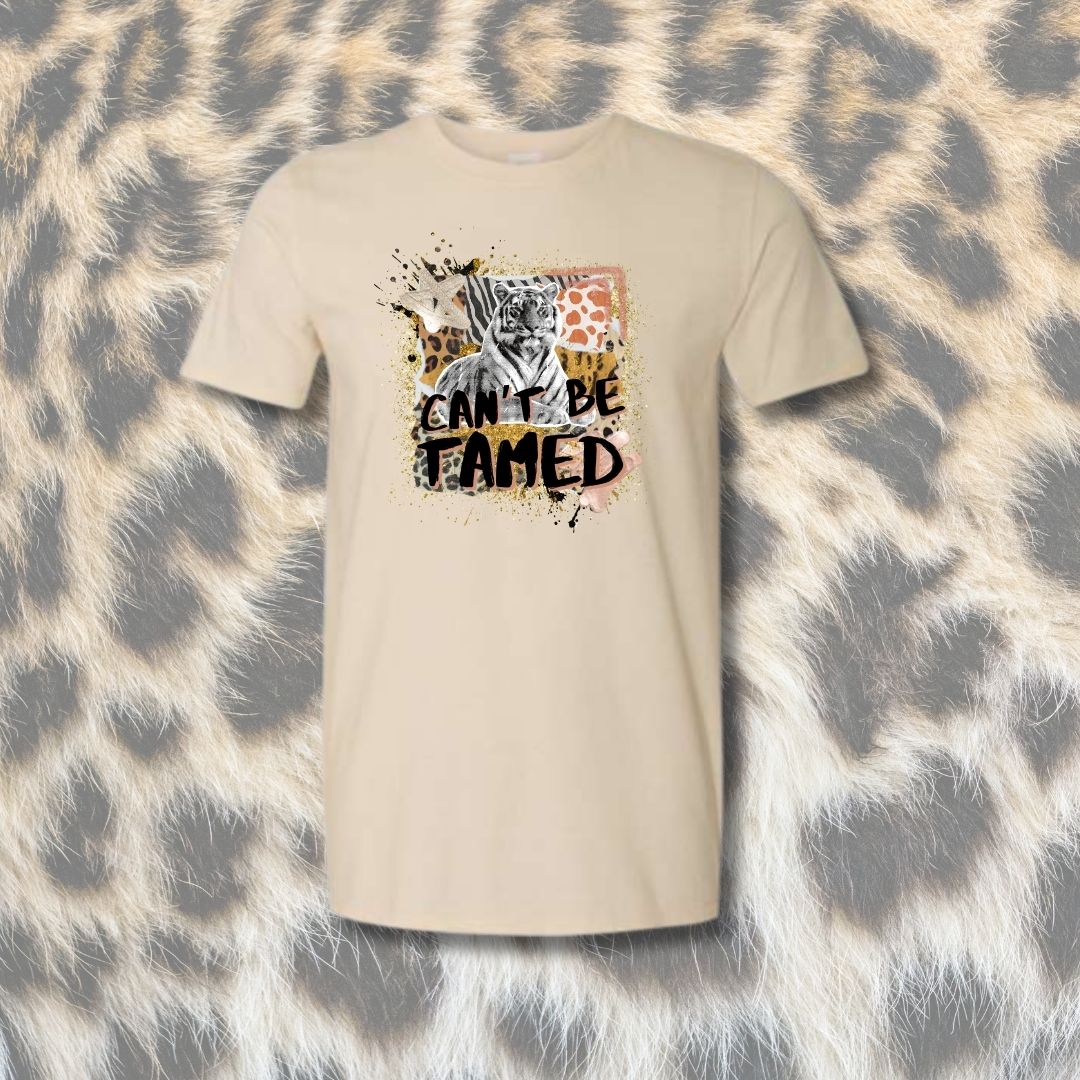 Can't Be Tamed Mashup