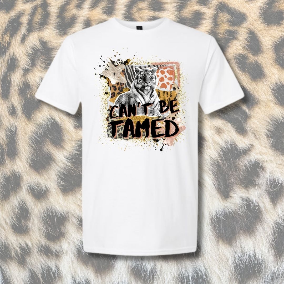 Can't Be Tamed Mashup