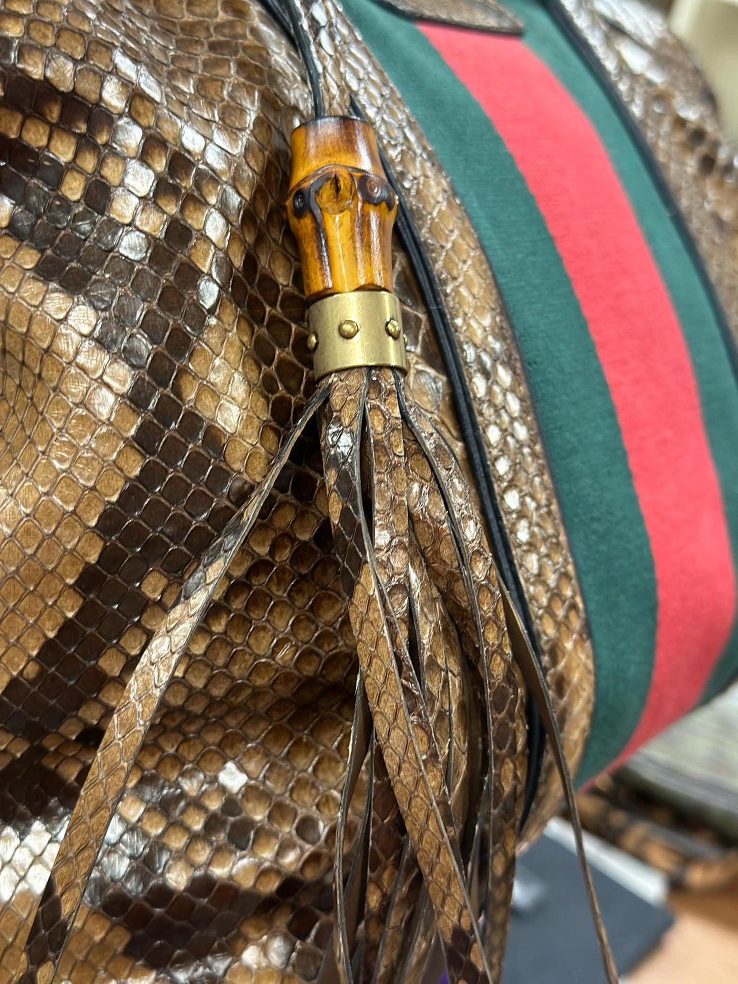 Gucci Python Raina