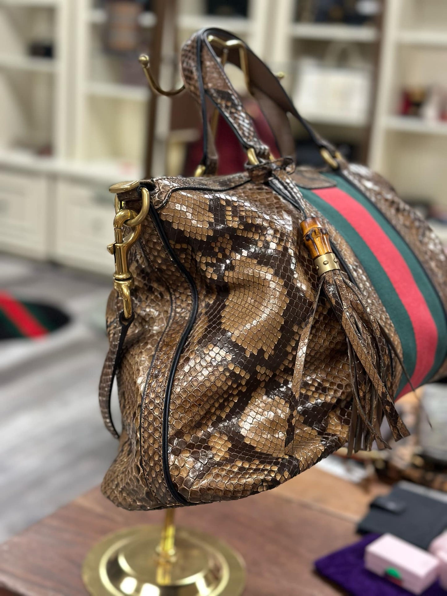 Gucci Python Raina