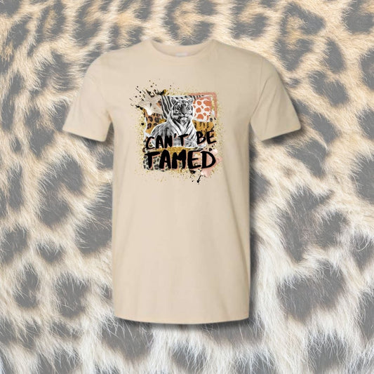Can't Be Tamed Mashup