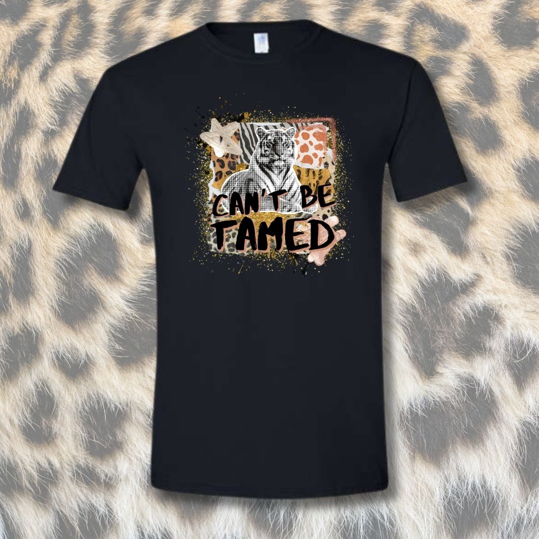 Can't Be Tamed Mashup