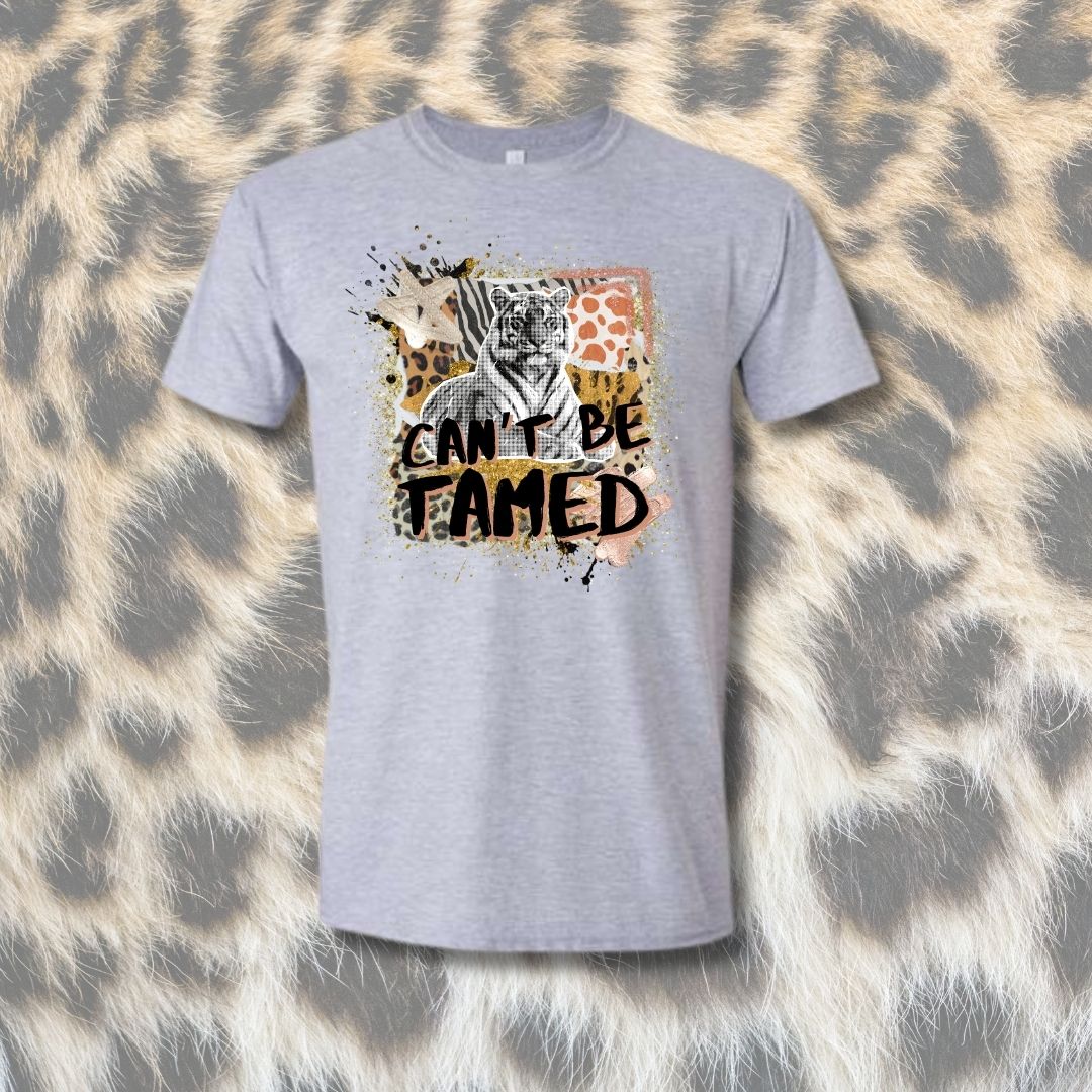 Can't Be Tamed Mashup