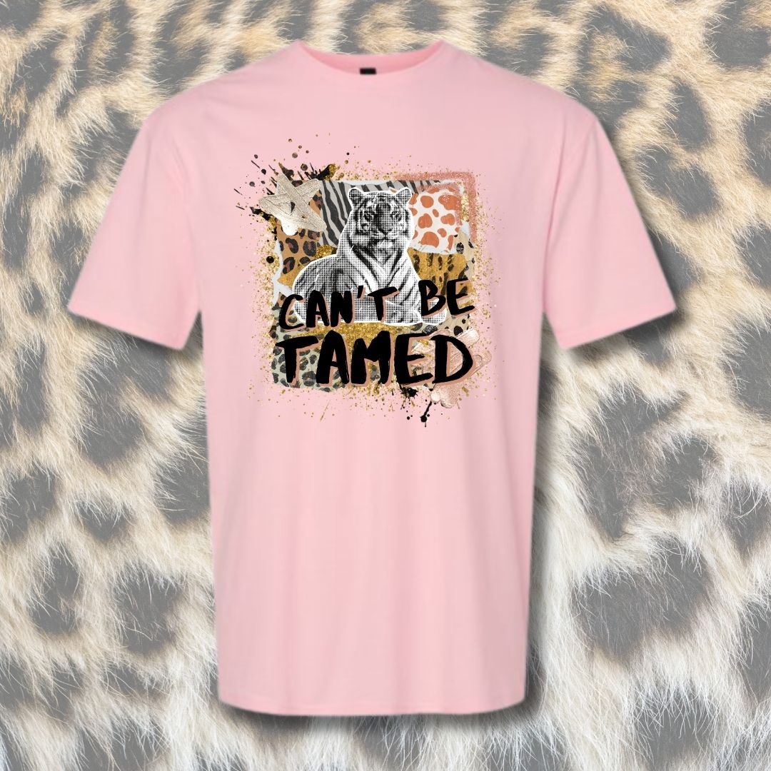Can't Be Tamed Mashup