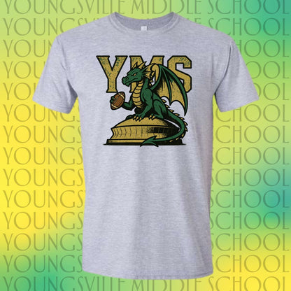 YMS Dragons-In the Dome!