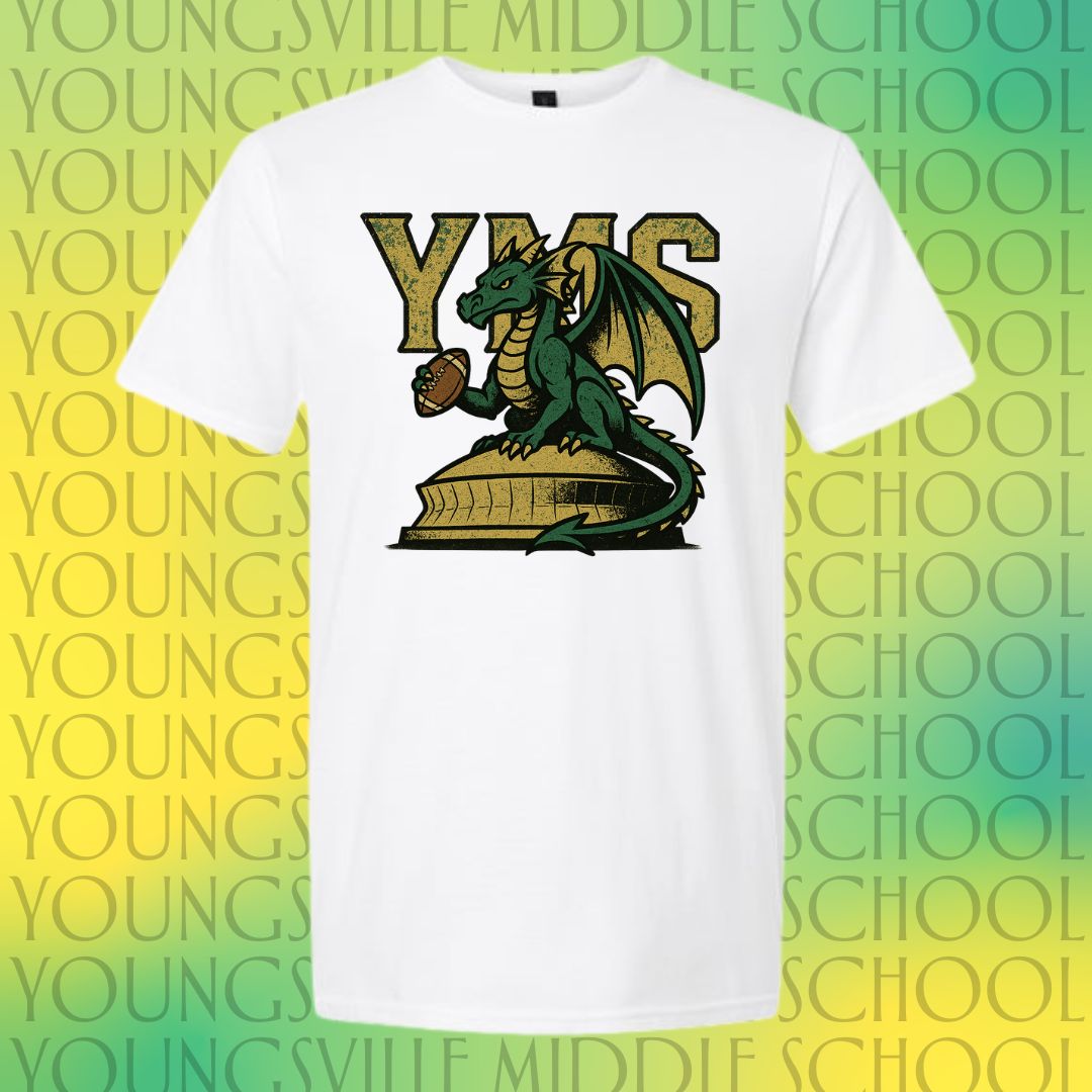 YMS Dragons-In the Dome!