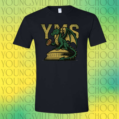 YMS Dragons-In the Dome!