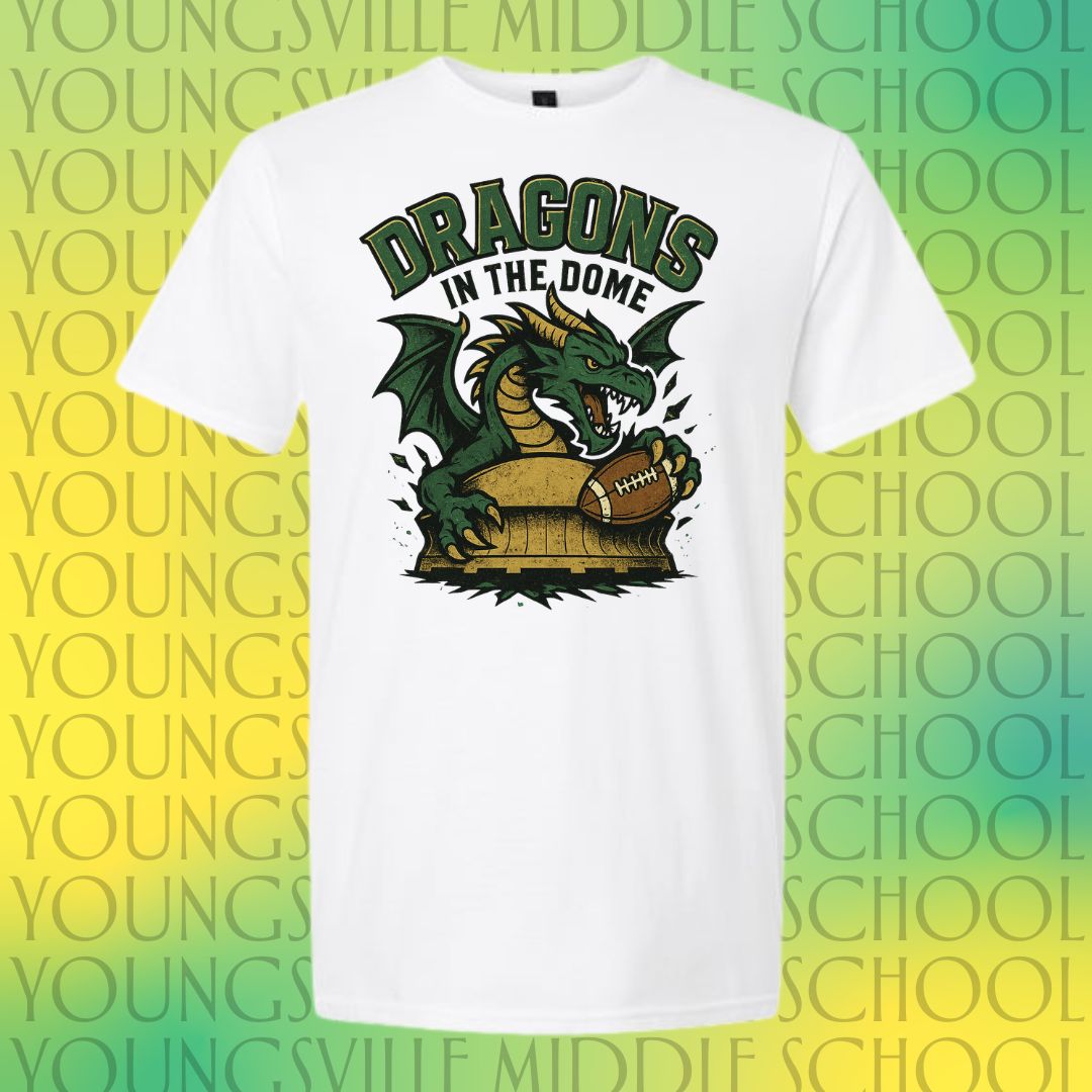 YMS Dragons-In the Dome!