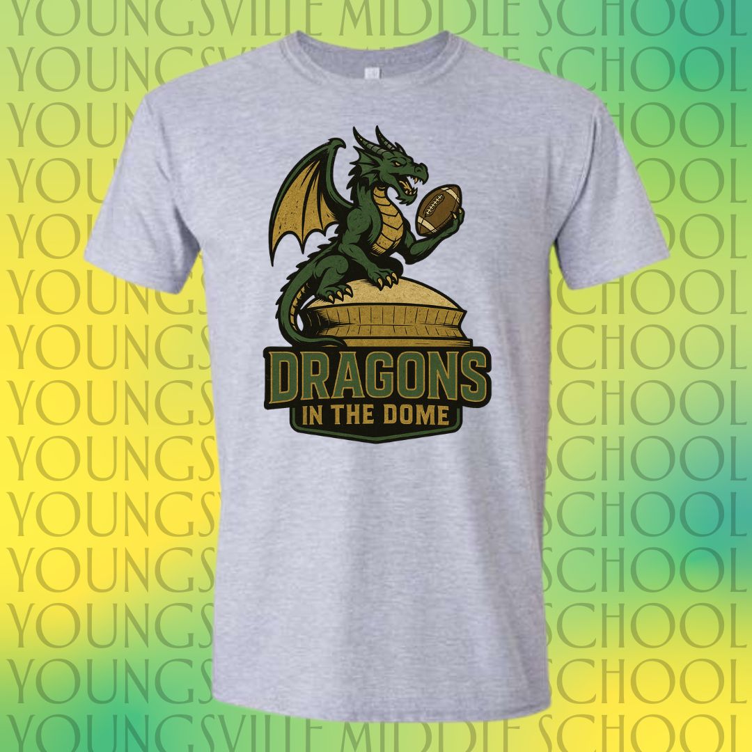 YMS Dragons-In the Dome!