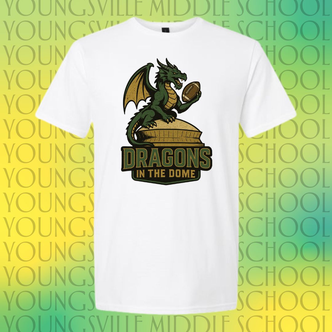 YMS Dragons-In the Dome!