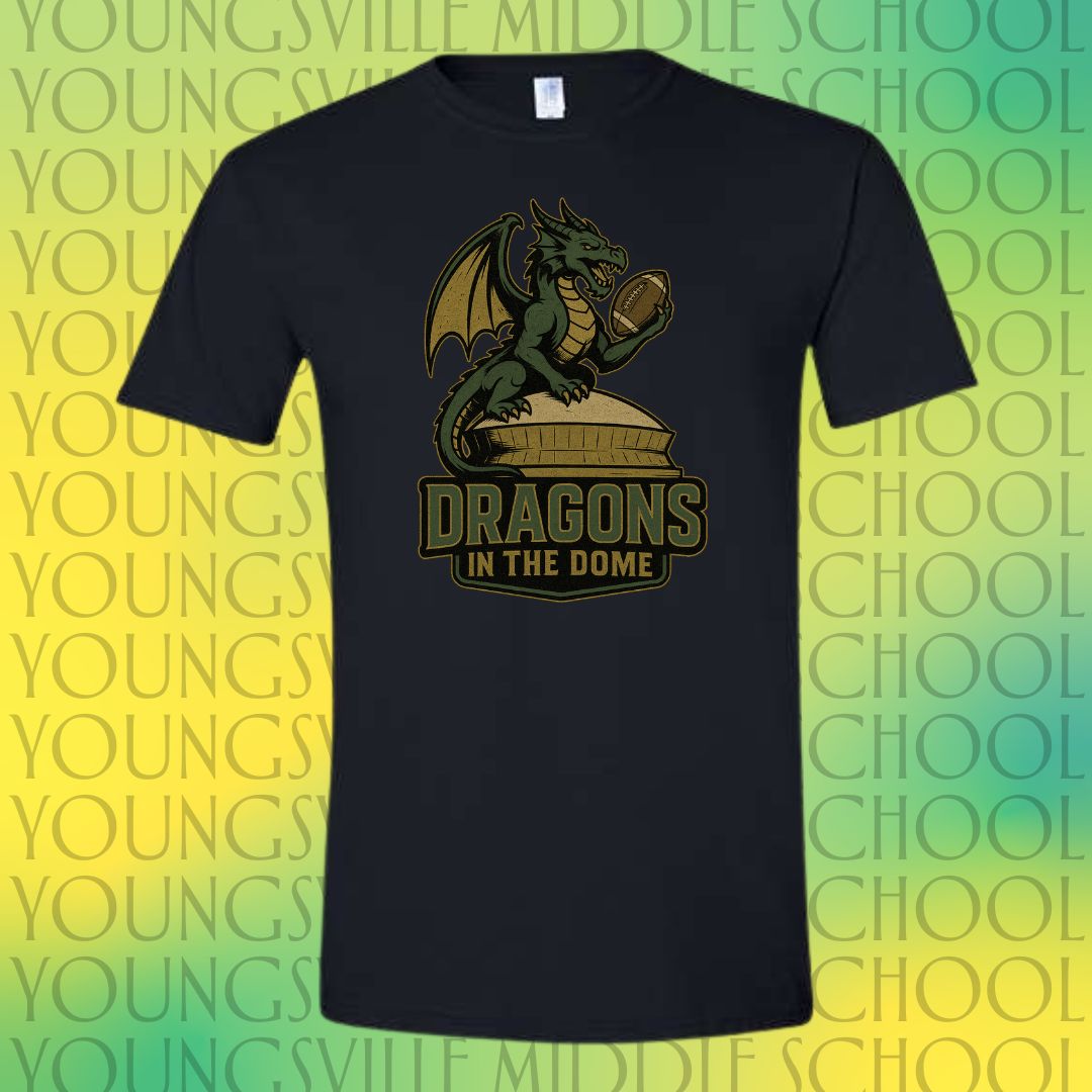 YMS Dragons-In the Dome!